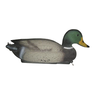 PATO MACHO