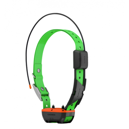 COLLAR GARMIN TT25