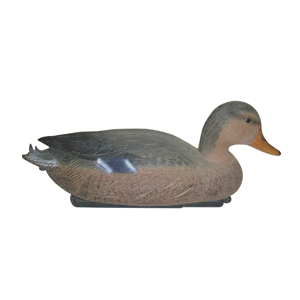 PATO HEMBRA